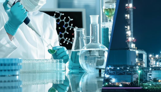 Petrochemical & Chemical Plants