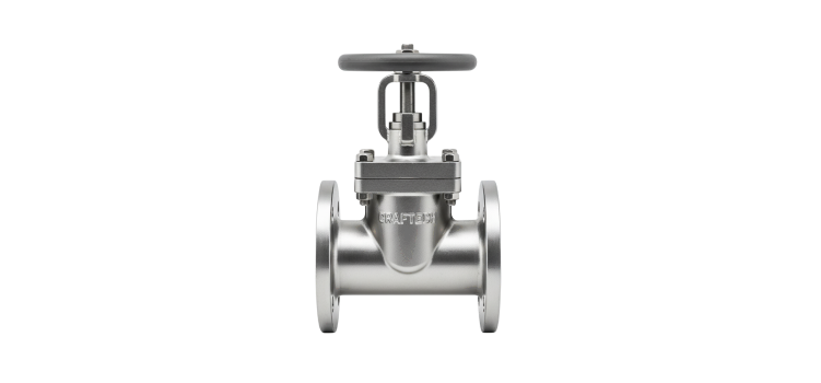 Globe Valve